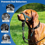 BARKLESS No Pull Dog Head Collar for Gentle Training Walking, Soft Padded Head Halter with Collar Safety Clip, Comfortable Fit Muzzle Leash with Reflective Strap for Medium Large Dog (Blue, XL)
