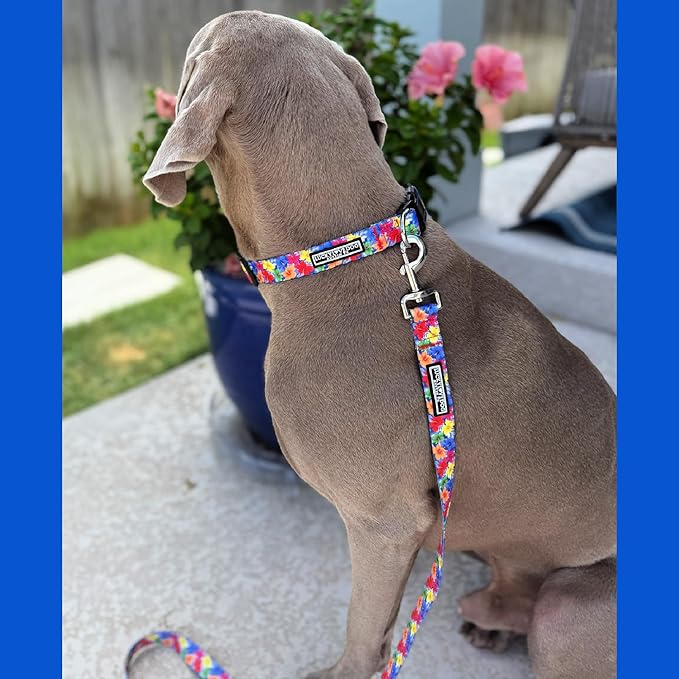 Lucky Love Dog - Easy Click Buckle Dog Collar with Leash Set Combo, Durable & Comfortable for Male & Female Dogs, Pet Collar for Small Dogs, Secure Fit - Hana Combo, XS