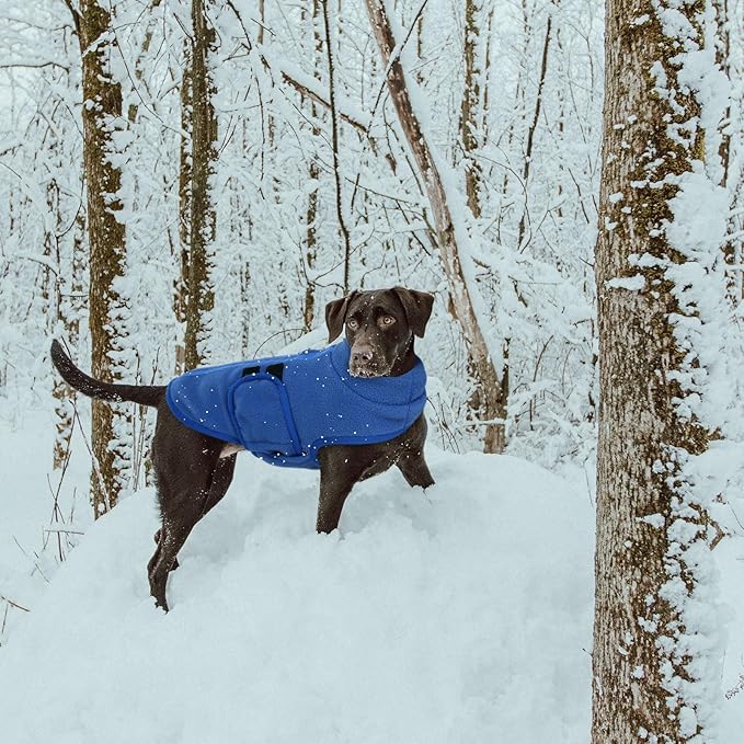 Queenmore XXS Dog Sweater, Soft Fleece Vest Pullover with Leash Hole, Warm Winter Dog Coats for Small Dogs Cats, Boy or Girl (Blue, XXS)