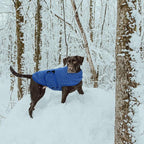 Queenmore Medium Dog Sweater, Soft Fleece Vest Pullover Dog Jacket with Leash Hole, Warm Winter Dog Clothes Cold Weather Doggy Dachshund Sweaters for Medium Dogs Cats Boy or Girl (Blue,M)