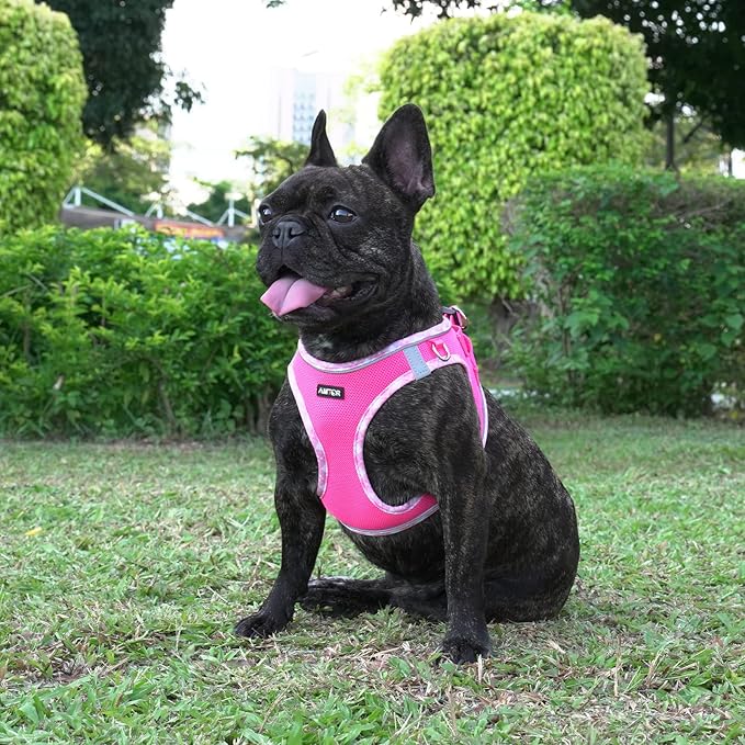 AMTOR Small Dog Harness with Leash Set, No Escape Easy Walk Puppy Harnesses for Training Walking, Step-in Reflective Soft Dogs Vest for XS S Medium Extra-Small Large Sized Dog(Fuchsia,XL)