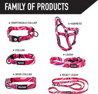 Wolfgang Heavy Duty Martingale Dog Collar with Quick Release Nylon Buckle for Walking & Training, MarbleSwirl Print, Small