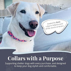 Lucky Love Dog - Adjustable Dog Collar with Easy Click Buckle for Large Ones, Durable, & Comfortable for Male & Female Dogs, Pet Collar for Puppies & Adult Dogs - Rosie, Large