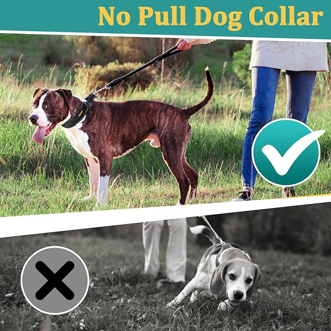 Mayerzon Martingale No Pull Collar for Large Medium Dogs Pitbull German Shepherd Rottweilers, Patented Reflective Anti Pull Dog Walking Collar with Buckle for Training Hiking, Adjustable(M, Black)