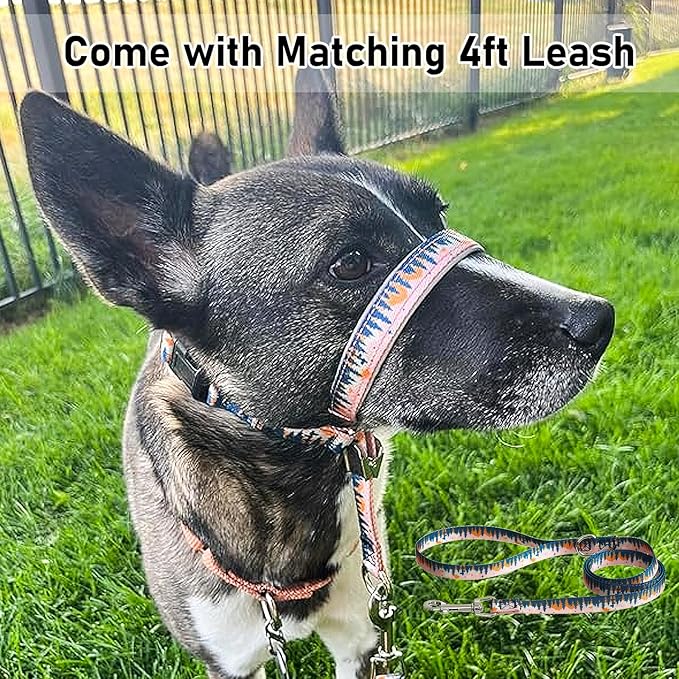 BARKLESS Dog Head Collar, Anti-Pulling Printed Head Halter with Leash, Gentle Snout Harness with Adjustable Clip for Small Medium, and Large Dogs Leash Training