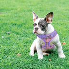 SCENEREAL No Pull Dog Harness with Leash Set for Small Dogs - Breathable Soft Mesh Vest, Plaid Design for Daily Walking Training, Fits Chihuahua Bulldog, Purple Size S