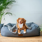 JXGZSO 1 Piece Silly Goose Triangle Dog Bandana Meme Goose Duck Merchandise (Silly Goose DB)