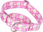 Wide 1.5 Martingale Collar for Girl Dogs,No Pull Heavy Duty Dog Collar for Medium Large Extra Large Female Dogs M