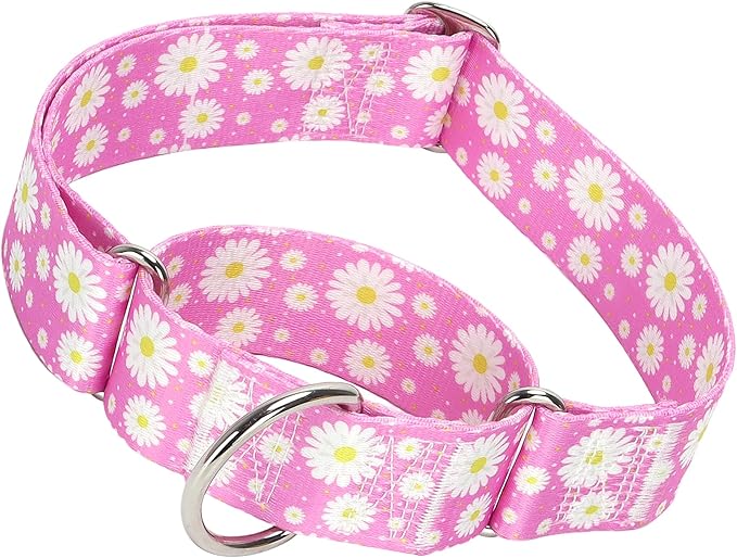 Wide 1.5 Martingale Collar for Girl Dogs,No Pull Heavy Duty Dog Collar for Medium Large Extra Large Female Dogs L