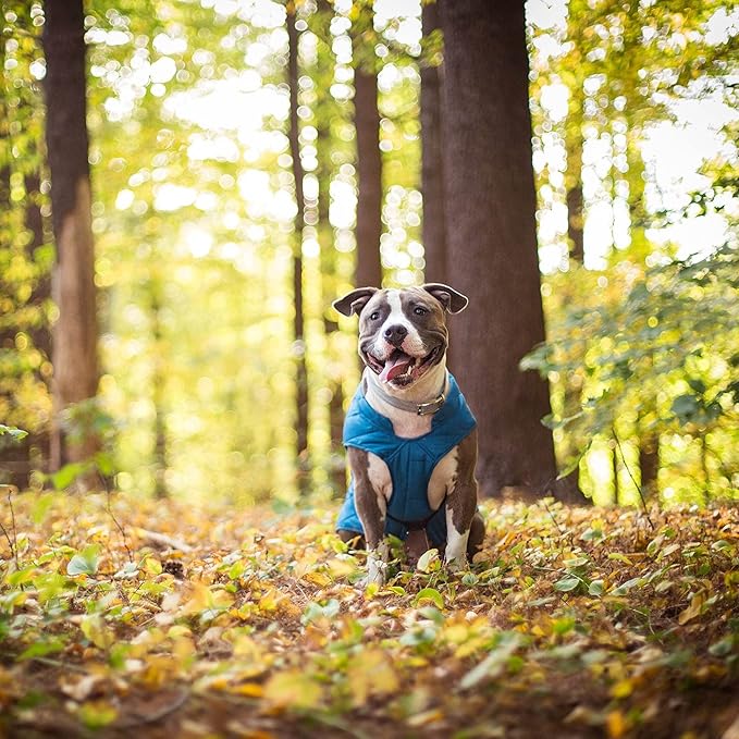 Kurgo Loft Dog Jacket - Reversible Cozy Coat for Outdoor Adventures - Water Resistant - Athletic Fit - Machine Washable Fabric - Reflective Dog Gear - X-Small - Coastal Blue