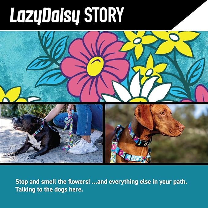 Wolfgang Heavy Duty Martingale Dog Collar with Quick Release Nylon Buckle for Walking & Training, LazyDaisy Print, Small