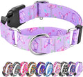 Hikiko Martingale Collar for Dogs Purple Butterfly Nylon Dog Collars with Buckle for Cute Girl Small Medium Large Dogs（Purple Butterfly,Small）