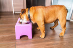 Fluff Trough Elevated Dog Bowl for Food | 5inch Tall Cat & Dog Feeding Station | Vet Approved Non-Toxic Silicone Feeder Bowl Insert | Raised Bowl for Medium and Small Dog/Pet with Flat Face (Purple)
