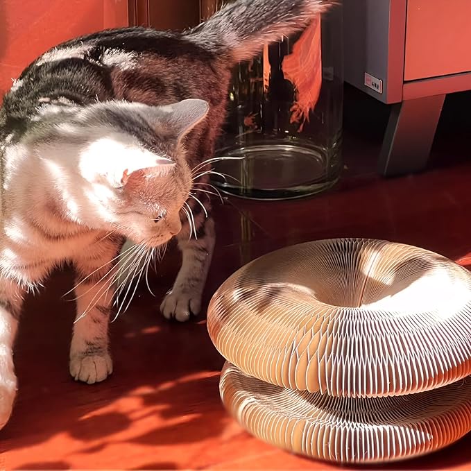 Magic Organ 2PC Cat Scratch Board, Cat Toy with Bell, Foldable Magnetic Corrugated Paper Circular