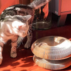 Magic Organ 2PC Cat Scratch Board, Cat Toy with Bell, Foldable Magnetic Corrugated Paper Circular