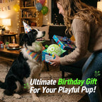 QDAN Glow in The Dark Dog Toys Soccer Ball with Straps, Outdoor Interactive Dog Toys Puppy Birthday Gifts, Dog Tug Water Toy, Light Up Dog Balls for Small & Medium Dogs（6 Inch Size 2）