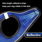 YIMEIS Dog Harness and Leash Set, No Pull Soft Mesh Pet Harness, Reflective Adjustable Puppy Vest for Small Medium Large Dogs, Cats (Royal Blue & Black, X-Small (Pack of 1)