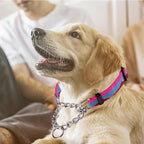 Martingale Dog Collars with Stainless Steel Chain, Reflective No Pull Walking Training Collar with Quick Release Buckle, Adjustable Slip Chain Nylon Dog Collars for Small Medium Large Dogs