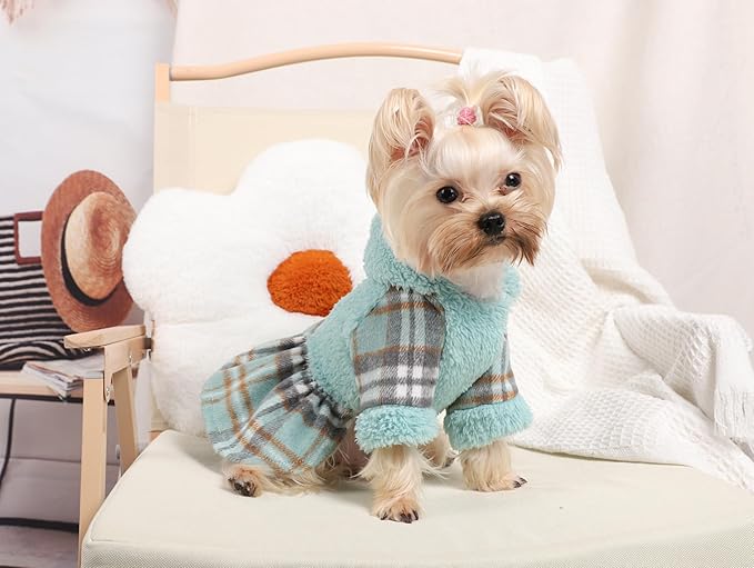 Dog Hoodie Dog Sweater Puppy Clothes for Small Dogs Boy Girl Pet Hoodies for Dogs Cold Weather Doggie Coats Fall Doggy Sweatshirt for Chihuahua Yorkie Cat Sweater Costumes, XS, Green
