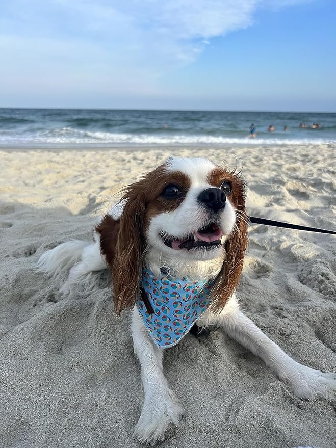 Lionet Paws Summer Dog Bandanas 2 Pack, Blue Washable Dog Triangle Bibs Scarf Dog Kerchief,Adjustable Triangle Holiday Scarves for Medium Large Extra Large Dogs Pets, Ball&StarFish