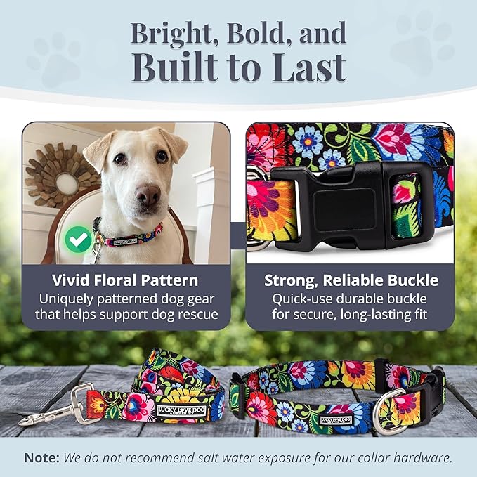 Lucky Love Dog - Easy Click Buckle Dog Collar with Leash Set Combo, Durable & Comfortable for Male & Female Dogs, Pet Collar for Medium Dogs, Secure Fit - Blackbird Combo, Medium