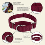 Country Brook Petz - Martingale Dog Collar - Heavy-Duty Training Collar with No Buckle - Service Dog Collar for All Pups - 10+ Warm Colors (Red, 3/8 Inch, 3XS)