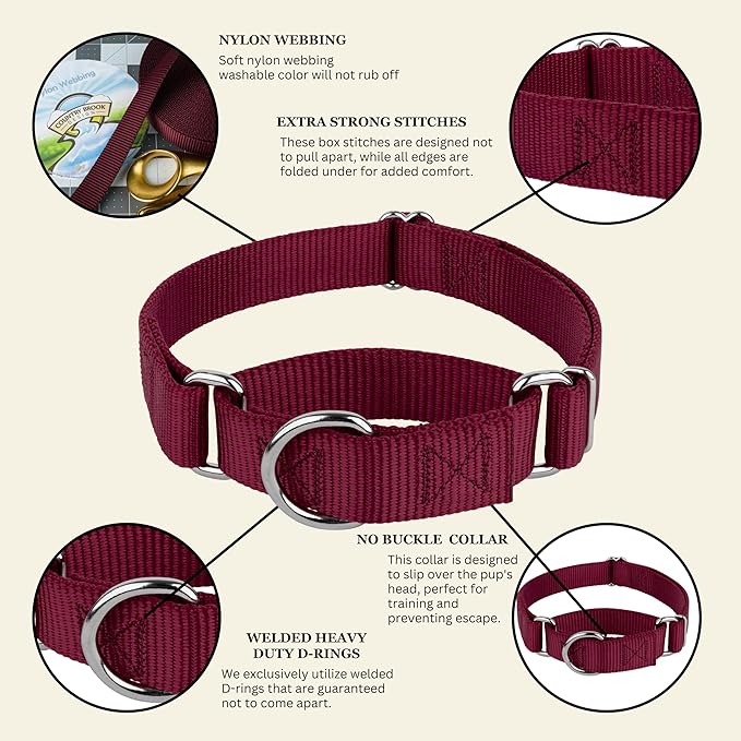 Country Brook Petz - Martingale Dog Collar - Heavy-Duty Training Collar with No Buckle - Service Dog Collar for All Pups - 10+ Warm Colors (Red, 3/8 Inch, 3XS)