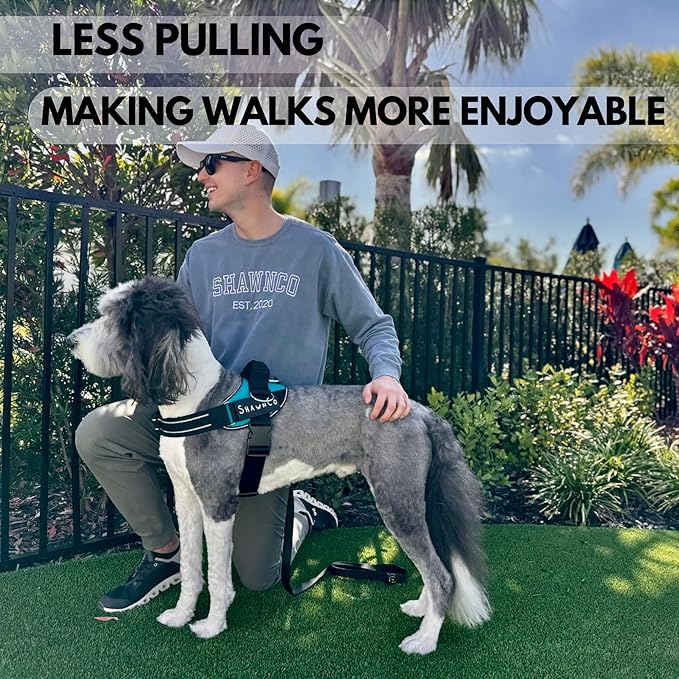 ShawnCo Essential Pro Dog Harness, No-Pull Pet Vest with 3 Leash Clips and Removable, Reflective Side Patches, Adjustable and Padded Harness for Small, Medium and Large Dogs (Midnight, XL)