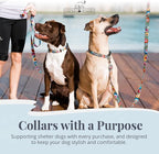 Lucky Love Dog - Easy Click Buckle Dog Collar with Leash Set Combo, Durable & Comfortable for Male & Female Dogs, Pet Collar for Medium Dogs, Secure Fit - Blackbird Combo, Medium