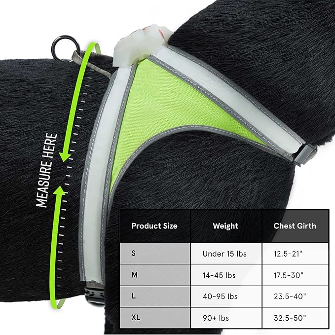 Noxgear LightHound (Small) + Wrist Light – Illuminated and Reflective Harness for Dogs Including Multicolored LED Fiber Optics (USB Rechargeable, Adjustable, Lightweight, Rainproof)