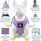 EcoBark Step in Dog Harness Reflective Soft Ultra Padded Mesh Dog Harnesses for XXS, XS, Small, and Medium Dogs Eco-Friendly Comfort Secure Halter No Pull Adjustable Pet Vest