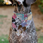 Disney Pet Bandana Minnie Mouse Daisy Duck with Figaro and Fifi Friends Fur Ever Slip On Collar Bandana Only