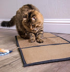 Petlinks Scratch & Play Carpet & Burlap Cat Scratch Mat - Brown, One Size