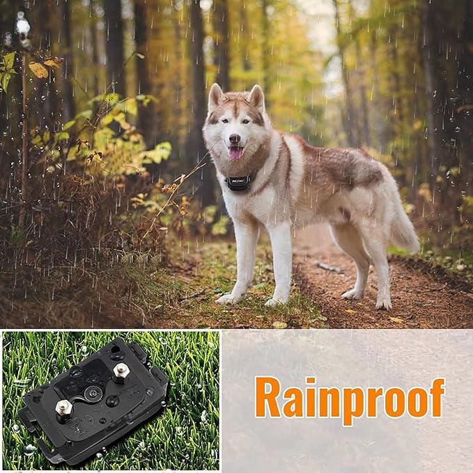 Petrainer Dog Training Collar with Remote - Bark Collar, Beep Vibration, Static Electric, 1000FT Range