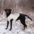 ASENKU Dog Winter Coat - Waterproof Windproof Dog Jacket, Warm Snowproof Doggie Puffer Vest for Cold Weather, Lightweight Snow Coats for Small Medium Large Dogs (Silver, 2XL)