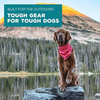 Wilderdog Dog Bandana with Lightweight Quick Drying Poly-Blend Mesh Material in Papaya