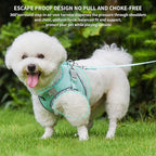 AIITLE Teacup Puppy Harness with Leash - Adjustable Soft Vest with Magic Tape & Reflective Safety Strips, Easy-Put-On for Poodles, Pomeranians - Gym, Hiking, Travel (Turquoise, S)