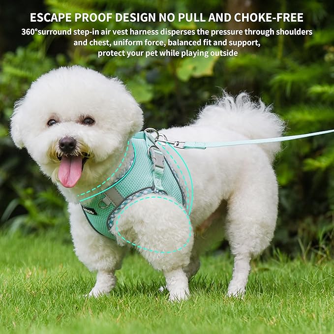 AIITLE Teacup Puppy Harness with Leash - Adjustable Soft Vest with Magic Tape & Reflective Safety Strips, Easy-Put-On for Poodles, Pomeranians - Gym, Hiking, Travel (Turquoise, S)