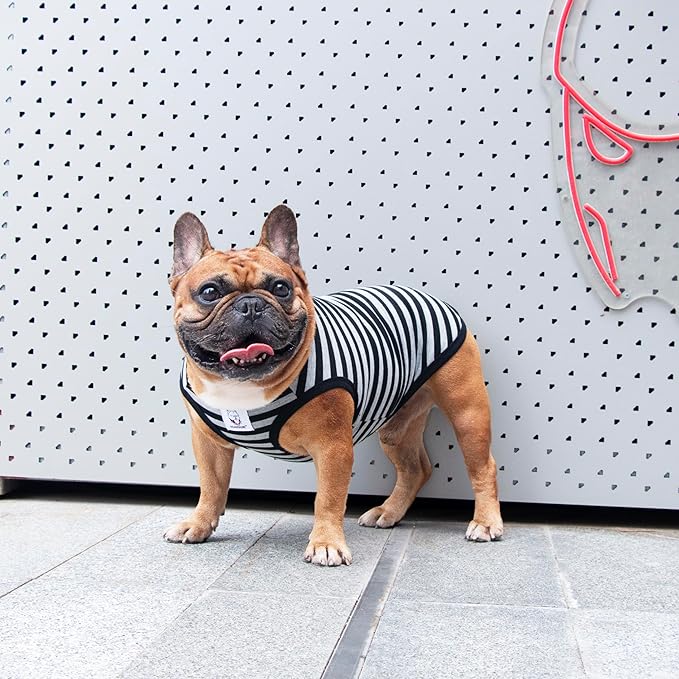 iChoue French Bulldog 100% Breathable Cotton Striped T Shirts Halloween Vest Clothes for Medium Dogs Tank Tops Frenchie Pug English Boston Terrier Pitbull Grey Black Stripes - Large Plus