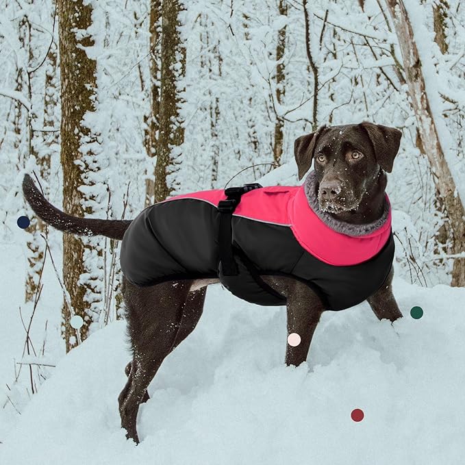 IECOii Extra Warm Reflective Adjustable Dog Jacket - Winter Coat with Buckle & Fleece Turtleneck for Cold Weather - Soft Winter Coat for Small, Medium & Large Dogs