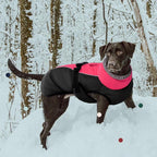 IECOii Extra Warm Dog Coat - Reflective Jacket with Buckle & Fleece Turtleneck for Cold Weather, Soft Winter Coat for Small to Extra Large Dogs