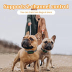 Dog Training Shock Collar 4300FT Dog Bark Collar with Remote IP67 Waterproof 4 Training Modes Beep Vibration Shock Light Mode Magnetic Charger Electric Dogs Collar 8-25 inches Double Shock Iron Black