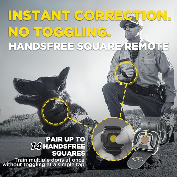 Dogtra 1900X Black Edition E-Collar - 1 Mile Range, Dogs 45 lbs+, IPX9K Waterproof, 100 Stimulation Levels, Vibration, Tone, Rechargeable - Ideal for Dog Owners and Professional Trainers