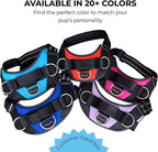 ShawnCo Essential Dog Harness, No-Pull Pet Vest with 3 Leash Clips, No Choke, Reflective, Adjustable and Padded, for Easy Walking and Training for Small, Medium and Large Dogs (White Sharks, XS)
