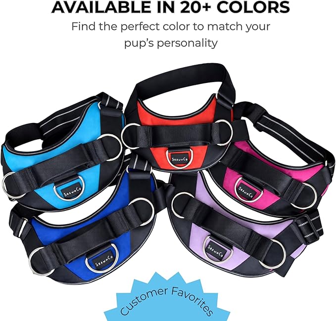 ShawnCo Essential Dog Harness, No-Pull Pet Vest with 3 Leash Clips, No Choke, Reflective, Adjustable and Padded, for Easy Walking and Training for Small, Medium and Large Dogs (Electric Blue,XS)