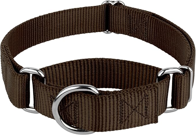 Country Brook Petz - Martingale Dog Collar - Heavy-Duty Training Collar with No Buckle - Service Dog Collar for All Pups - 10+ Warm Colors (Brown, 3/8 Inch, 3XS)