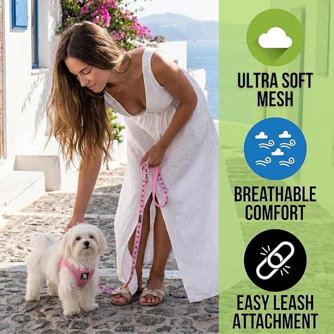 EcoBark Step in Dog Harness - Eco-Friendly Small Breed Dog Harnesses for XXS, XS, and Small Dogs - Reflective and Adjustable Mini Body Halter Vest - Tiny Soft Mesh Toy Breed Harness (Baby Pink, XS)
