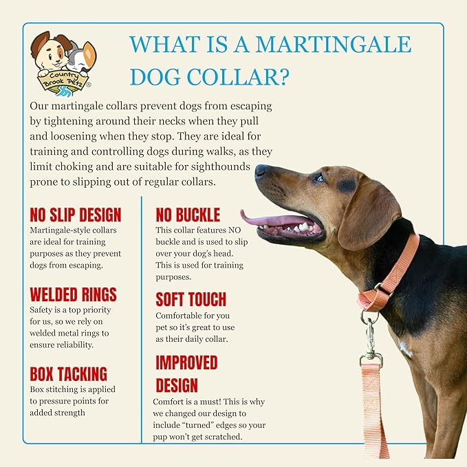 Country Brook Petz - Martingale Dog Collar - Heavy-Duty Training Collar with No Buckle - Service Dog Collar for All Pups - 10+ Warm Colors (Mango, 1 Inch, Extra Large)