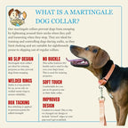 Country Brook Petz - Martingale Dog Collar - Heavy-Duty Training Collar with No Buckle - Service Dog Collar for All Pups - 10+ Warm Colors (Mango, 5/8 Inch, Extra Small)