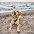ADOGGYGO Summer Hawaii Dog Bandana, 6 Pack Flamingo & Fruit Pattern Triangle Summer Bandanas for Extra Large Dogs Pets (X-Large)